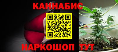 прущие грибы Пугачёв