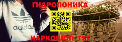 гашик Пушкино