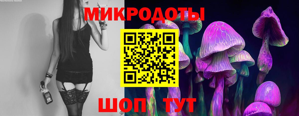 Псилоцибиновые грибы MAGIC MUSHROOMS  Вход с VPN  Сокол 